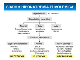 SIADH = HIPONATREMIA EUVOLÉMICA
                             Hiponatremia      Na < 135 mEq/l


                        Osmolalidad plasmática


             Normal              Baja                   Alta
       Pseudohiponatremia:    Hiponatremia          Hiperglucemia
          Hiperlipidemia       verdadera               Manitol
         Hiperproteinemia

                         Volumen extracelular


Bajo = Deshidratación          Normal                      Alto = Edemas
  Pérdidas:                    SIADH                     Insuficiencia cardíaca
    Renales                  Hipotiroidismo                Síndrome nefrótico
   Extrarrenales        Insuficiencia suprarrenal           Cirrosis hepática
                                Potomanía                  Insuficiencia renal
  HIPOVOLEMIA                EUVOLEMIA                     HIPERVOLEMIA
 