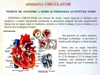 SISTEMUL CIRCULATOR este format din inimǎ, vasele sangvine și limfatice care
alcǎtuiesc o unitate funcționalǎ coordonatǎ și permanent adaptatǎ nevoilor organismului.
Inima este un organ situat ȋn mediastin, orientat cu vȃrful la stȃnga, ȋn jos și ȋnainte, și cu
baza ȋn sus, la dreapta și ȋnapoi.
Din punctele de vedere anatomic,
fiziologic și patologic se deosebesc o
inimǎ (cord) stȃngǎ și o inimǎ dreaptǎ.
Inima este un organ musculos,
cavitar, tetracameral, situat ȋn cutia
toracicǎ, ȋn mediastinul mijlociu situat
ȋn 1/3 la dreapta și 2/3 la stȃnga liniei
mediane, care pompeazǎ ritmic ȋn
artere sȃngele pe care ȋl primește de
la vene.
 