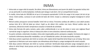 Atrii Inima Inima și Circulația Sângelui: Structură, Funcții și Sănătate ...