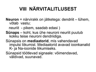 VIII  NÄRVITALITLUSEST Neuron  = närvirakk on jätketega: dendriit – lühem, võtab  vastu;  neuriit  - pikem, saadab edasi ) Sünaps  – koht, kus ühe neuroni neuriit puutub kokku teise neuroni dendriidiga. Sünapsis on  mediaatorid , mis vahendavad impulsi liikumist. Mediaatorid avavad ioonkanalid K- ja Na-ioonide liikumiseks. Sünapsid töötlevad signaale: võimendavad, väldivad, suunavad. 