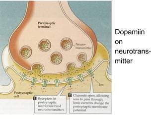 Dopamiin on  neurotrans- mitter 