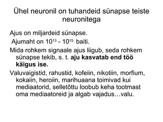 Ühel neuronil on tuhandeid sünapse teiste neuronitega Ajus on miljardeid sünapse. Ajumaht on 10 13  - 10 15  baiti. Mida rohkem signaale ajus liigub, seda rohkem sünapse tekib, s. t.  aju kasvatab end töö käigus ise. Valuvaigistid, rahustid, kofeiin, nikotiin, morfium, kokaiin, heroiin, marihuaana toimivad kui mediaatorid, selletõttu loobub keha tootmast oma mediaatoreid ja algab vajadus…valu. 