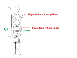 1/2 
Õlgade laius = 2 pea pikkust 
Puusa laius = 2 pea laiust 
Keskkoht 
 