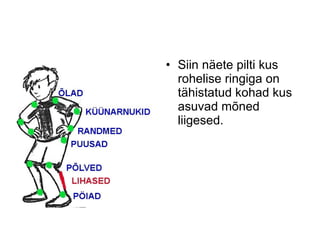 • Siin näete pilti kus 
rohelise ringiga on 
tähistatud kohad kus 
asuvad mõned 
liigesed. 
 