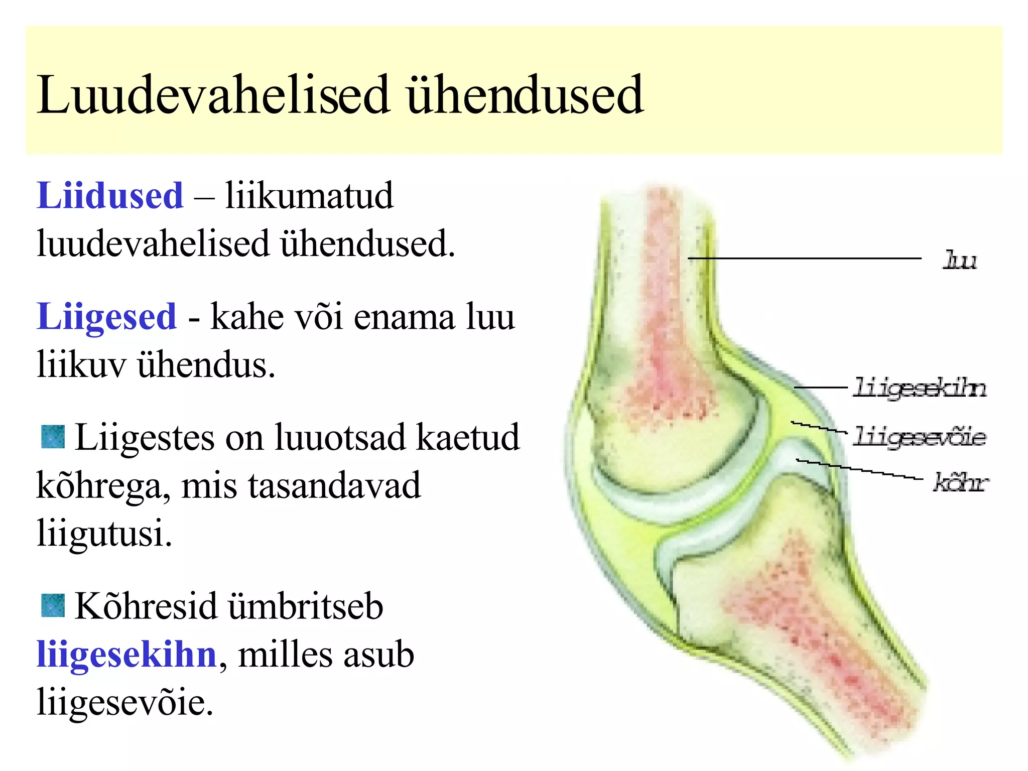 Luudevahelised ühendused Liidused  – liikumatud luudevahelised ühendused. Liigesed  - kahe või enama luu liikuv ühendus. Liigestes on luuotsad kaetud kõhrega, mis tasandavad liigutusi.  Kõhresid ümbritseb  liigesekihn ,   milles asub liigesevõie.   