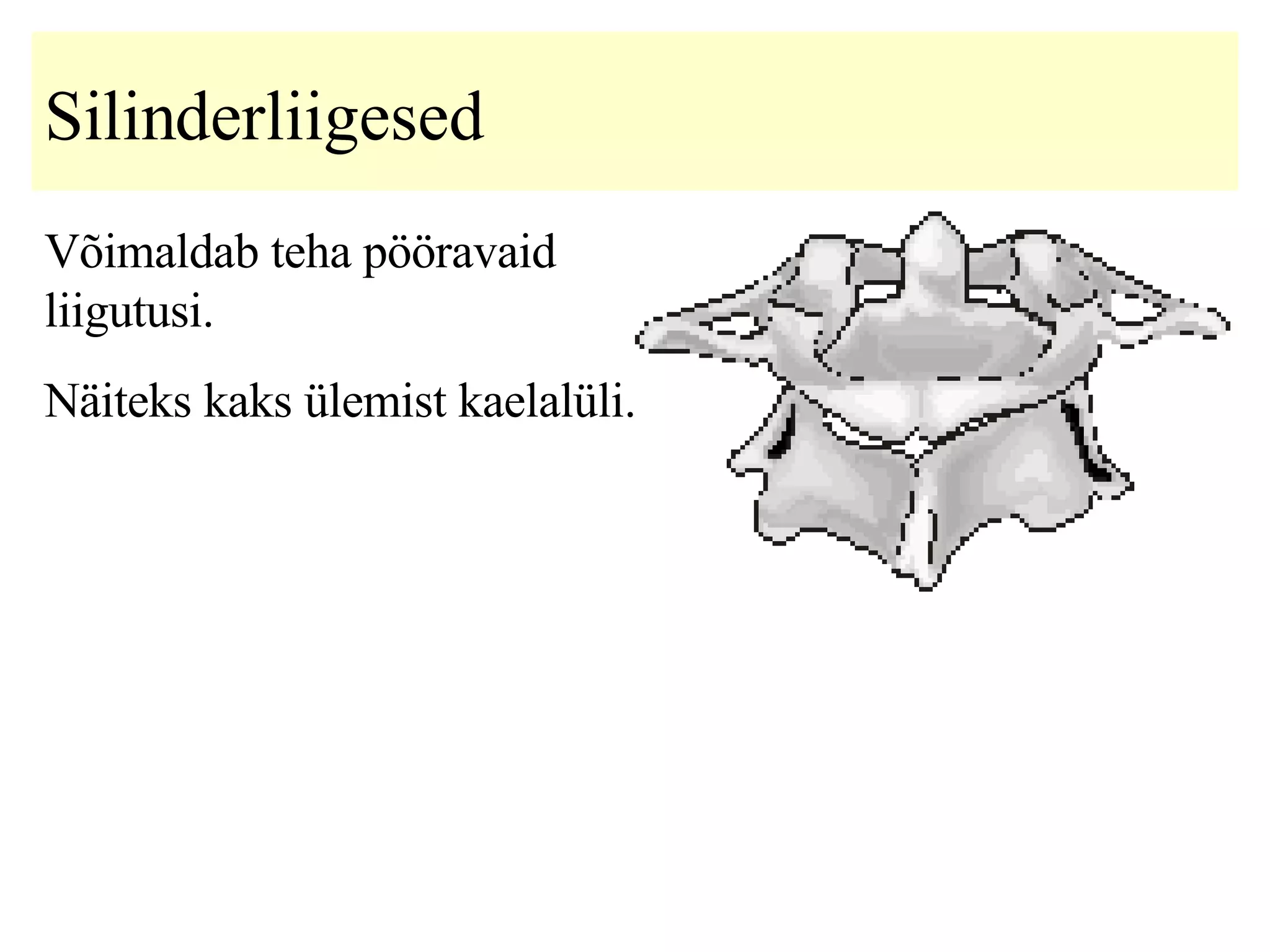 Silinderliigesed Võimaldab teha pööravaid liigutusi. Näiteks kaks ülemist kaelalüli. 
