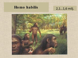 Homo habilis 2,1…1,6 milj. 