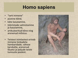“ tark inimene” püstine kõnd,  käte kasutamine,  tööriistade valmistamine ja kasutamine,  artikuleeritud kõne ning arenenud mõistus.  Teistest inimlastest erineb inimene lünkadeta hambaridade, vähese karvkatte, arenenud lõuatsi ja paljude teiste tunnuste poolest.  Homo sapiens 