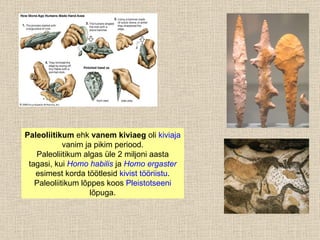 Paleoliitikum  ehk  vanem kiviaeg  oli  kiviaja  vanim ja pikim periood. Paleoliitikum algas üle 2 miljoni aasta tagasi, kui  Homo habilis  ja  Homo ergaster  esimest korda töötlesid  kivist tööriistu . Paleoliitikum lõppes koos  Pleistotseeni  lõpuga. 