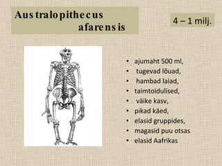 Australopithecus  afarensis ajumaht 500 ml, tugevad lõuad, hambad laiad,  taimtoidulised, väike kasv,  pikad käed,  elasid gruppides,  magasid puu otsas elasid Aafrikas  4 – 1 milj.  