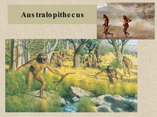 Australopithecus 