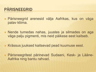 PÄRISNEEGRID

   Pärisneegrid arenesid välja Aafrikas, kus on väga
    palav kliima.

   Nende tumedas nahas, juustes ja silmades on aga
    väga palju pigmenti, mis neid päikese eest kaitseb.

   Krässus juuksed kaitsevad pead kuumuse eest.

   Pärisneegritest pärinevad Sudaani, Kesk- ja Lääne-
    Aafrika ning bantu rahvad.
 
