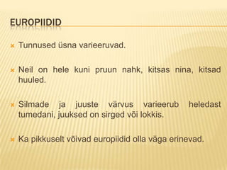 EUROPIIDID

   Tunnused üsna varieeruvad.

   Neil on hele kuni pruun nahk, kitsas nina, kitsad
    huuled.

   Silmade ja juuste värvus varieerub           heledast
    tumedani, juuksed on sirged või lokkis.

   Ka pikkuselt võivad europiidid olla väga erinevad.
 