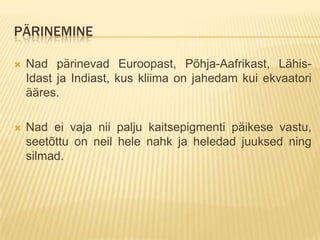 PÄRINEMINE

   Nad pärinevad Euroopast, Põhja-Aafrikast, Lähis-
    Idast ja Indiast, kus kliima on jahedam kui ekvaatori
    ääres.

   Nad ei vaja nii palju kaitsepigmenti päikese vastu,
    seetõttu on neil hele nahk ja heledad juuksed ning
    silmad.
 
