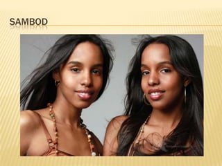 SAMBOD
 