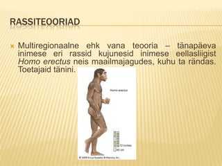 RASSITEOORIAD

   Multiregionaalne ehk vana teooria – tänapäeva
    inimese eri rassid kujunesid inimese eellasliigist
    Homo erectus neis maailmajagudes, kuhu ta rändas.
    Toetajaid tänini.
 