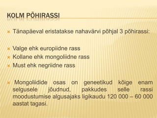 KOLM PÕHIRASSI

   Tänapäeval eristatakse nahavärvi põhjal 3 põhirassi:

   Valge ehk europiidne rass
   Kollane ehk mongoliidne rass
   Must ehk negriidne rass

    Mongoliidide osas on geneetikud kõige enam
    selgusele      jõudnud, pakkudes     selle    rassi
    moodustumise algusajaks ligikaudu 120 000 – 60 000
    aastat tagasi.
 