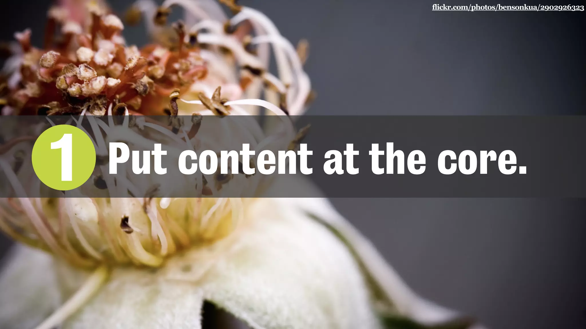flickr.com/photos/bensonkua/2902926323
1 Put content at the core.
 