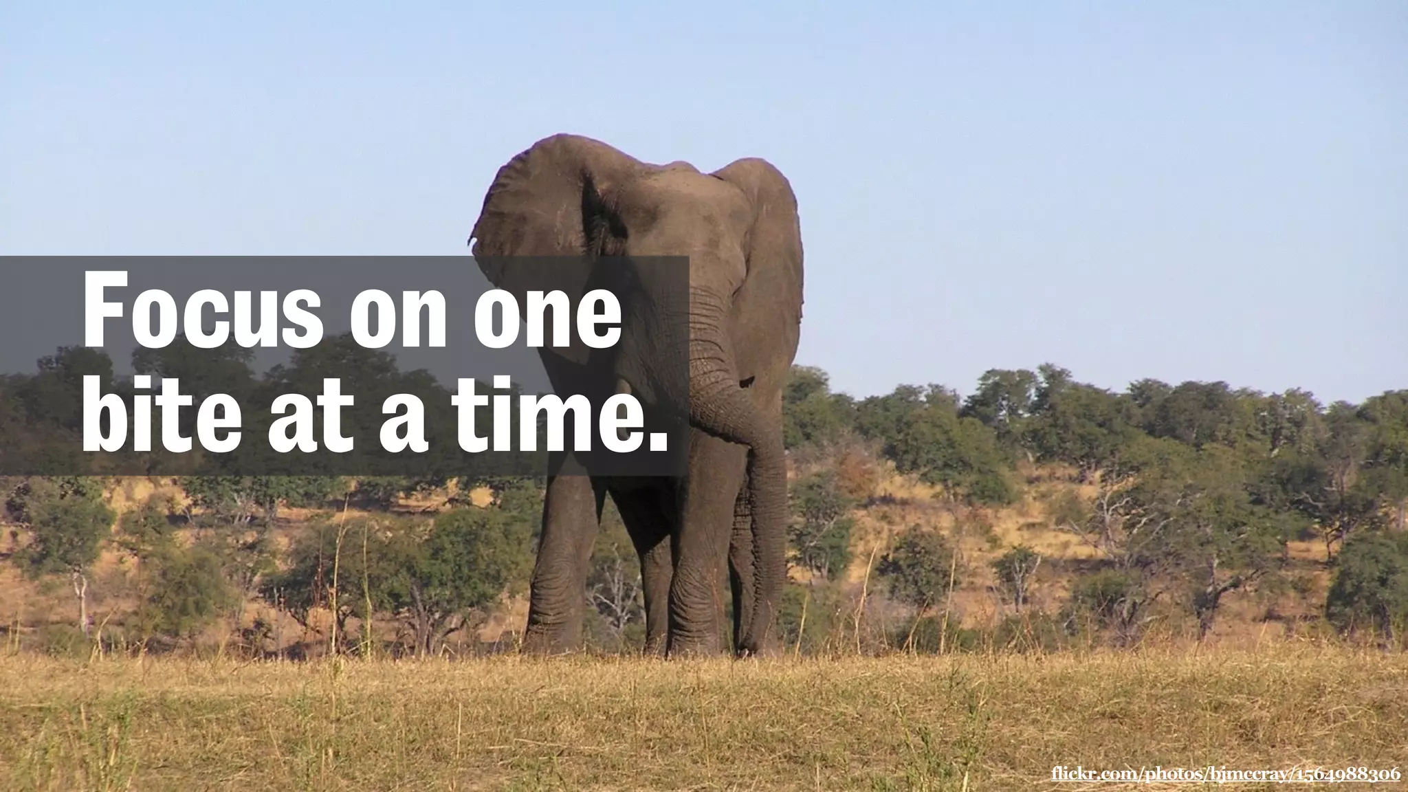 Focus on one
bite at a time.
flickr.com/photos/bjmccray/1564988306
 