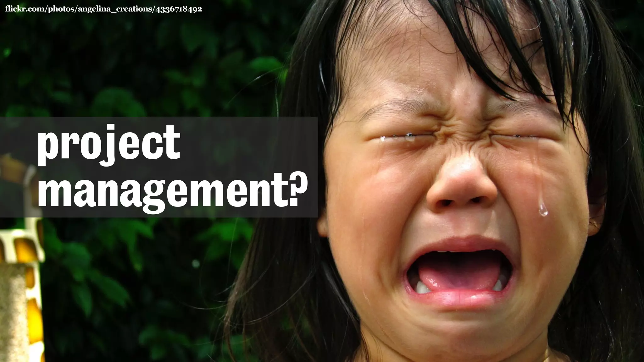 flickr.com/photos/angelina_creations/4336718492
project
management?
 