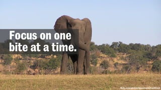 Focus on one
bite at a time.
flickr.com/photos/bjmccray/1564988306
 