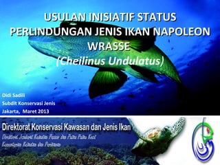 USULAN INISIATIF STATUS
   PERLINDUNGAN JENIS IKAN NAPOLEON
                  WRASSE
           (Cheilinus Undulatus)

Didi Sadili
Subdit Konservasi Jenis
Jakarta, Maret 2013
 