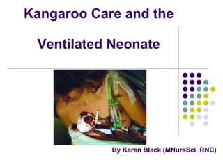 Kangaroo Care and the  Ventilated Neonate By Karen Black (MNursSci, RNC) 