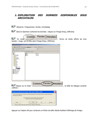SOUDANI Kamel – Faculté des Sciences d’Orsay – Université Paris Sud XI (2006-2007)                                 12




     1. EXPLORATION                          DES          DONNEES                    DISPONIBLES             SOUS
        ARCCATALOG


        Démarrer / Programmes / ArcGis / ArcCatalog

        Dans le répertoire contenant les données : cliquez sur l’image Orsay_1999.bmp



       En mode                                                                 : l’écran de droite affiche les trois
bandes : rouge, vert et bleu dans l’image Orsay_1999.bmp




       Cliquez sur le mode                                                             , la boîte de dialogue suivante
s’affiche :




Appuyer sur l’option OK pour construire un fichier de taille réduite facilitant l’affichage de l’image :
 