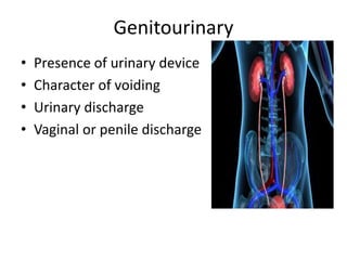 Genitourinary
• Presence of urinary device
• Character of voiding
• Urinary discharge
• Vaginal or penile discharge
 