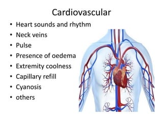 Cardiovascular
• Heart sounds and rhythm
• Neck veins
• Pulse
• Presence of oedema
• Extremity coolness
• Capillary refill
• Cyanosis
• others
 