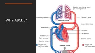 Initial assessment of trauma patient | PPTX