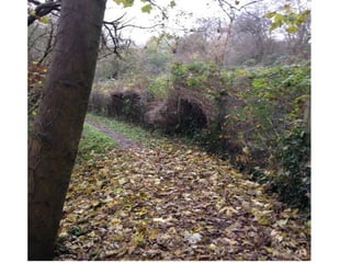 Initial location shoot