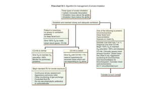 Acute Management in Burns | PPTX