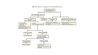Acute Management in Burns | PPTX