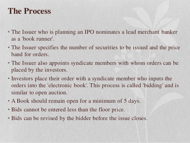 What basically happens in an initial public offering ipo