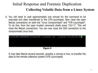 13
Initial Response and Forensic Duplication
Collecting Volatile Data from a Linux System
 