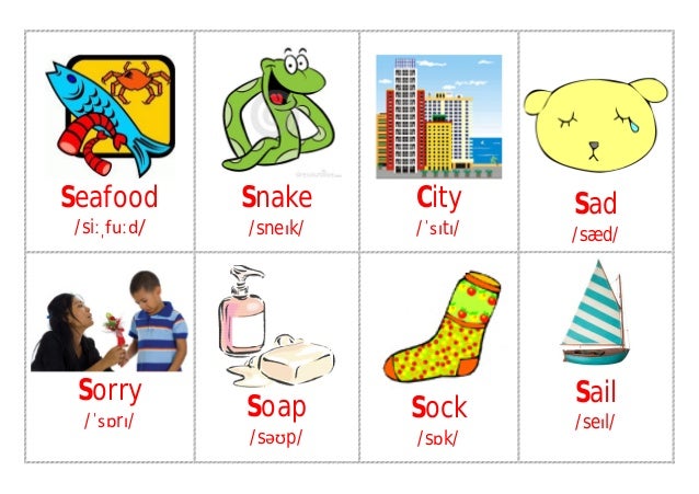 initial s flashcards 2 638
