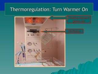 Thermoregulation: Turn Warmer On
                        Heating element
                          glows red


                       ON Button
 