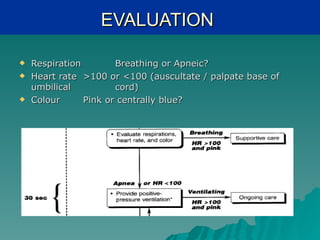 EVALUATION

   Respiration        Breathing or Apneic?
   Heart rate >100 or <100 (auscultate / palpate base of
    umbilical          cord)
   Colour      Pink or centrally blue?
 