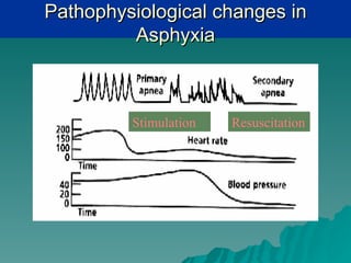 Pathophysiological changes in
         Asphyxia



         Stimulation   Resuscitation
 