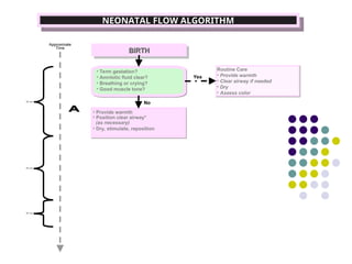 Initial Steps for neonatal resuscitation | PPT
