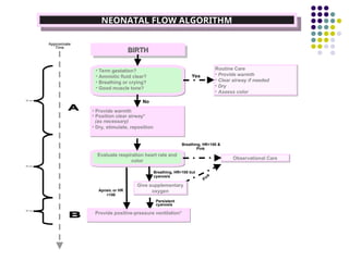 Neonatal Code Algorithm Initial Steps for neonatal resuscitation | PPT