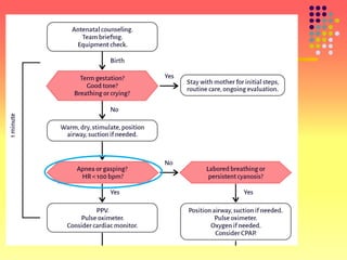 Initial steps NRP initial steps of resuscitation | PPT