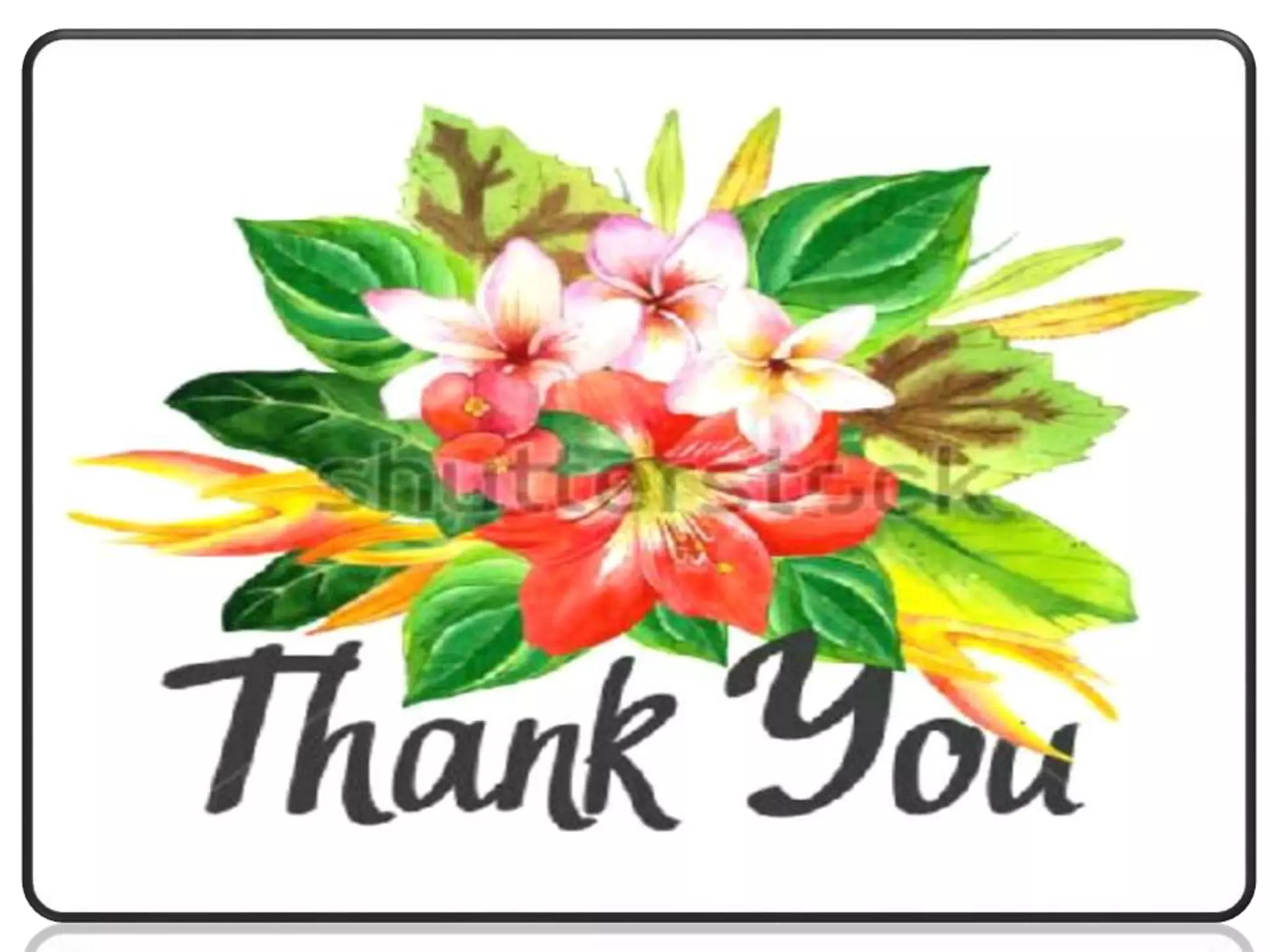 Initiation and termination codons , mutation and genetic code