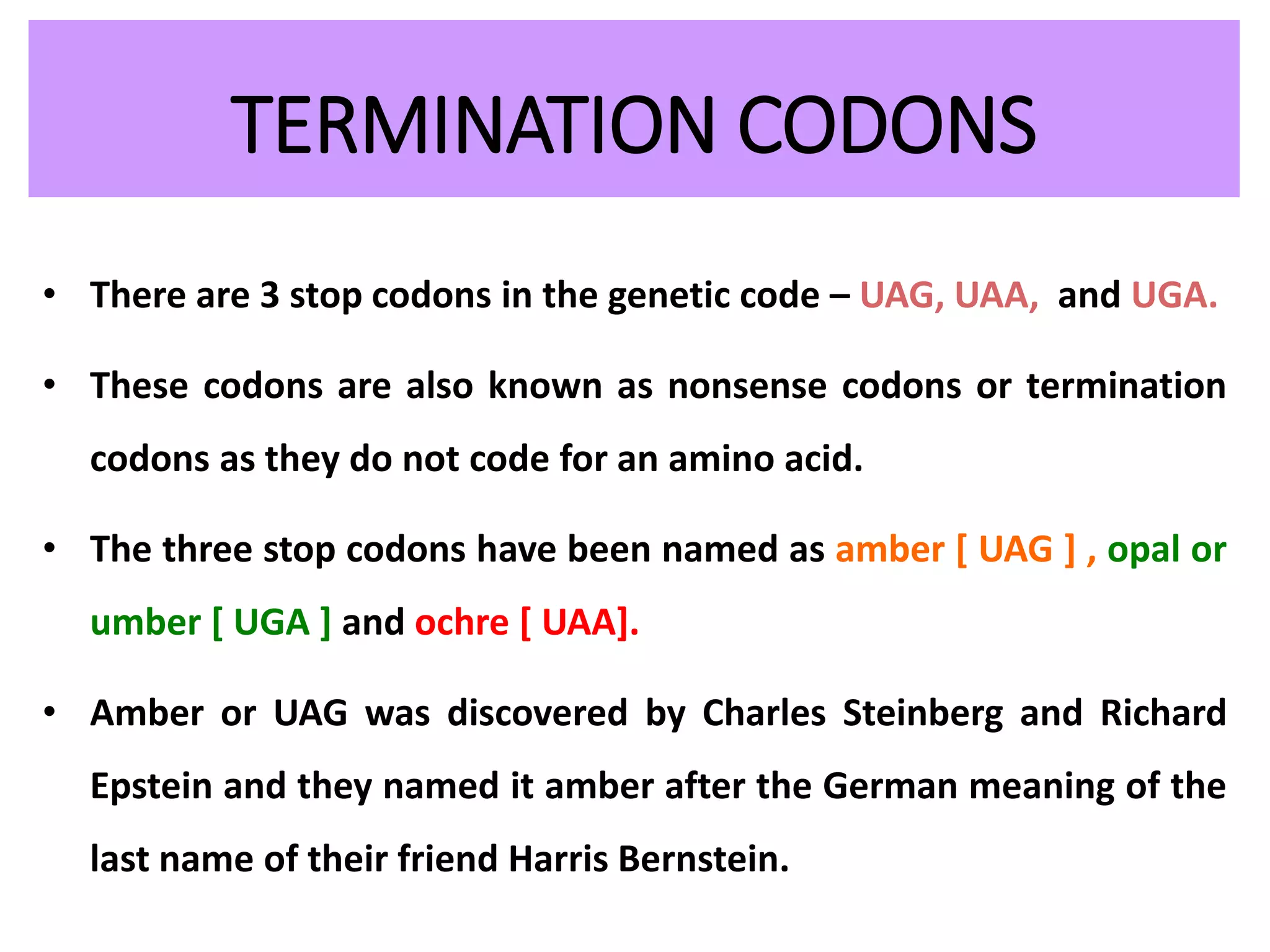 TERMINATION CODONS
• There are 3 stop codons in the genetic code – UAG, UAA, and UGA.
• These codons are also known as nonsense codons or termination
codons as they do not code for an amino acid.
• The three stop codons have been named as amber [ UAG ] , opal or
umber [ UGA ] and ochre [ UAA].
• Amber or UAG was discovered by Charles Steinberg and Richard
Epstein and they named it amber after the German meaning of the
last name of their friend Harris Bernstein.
 