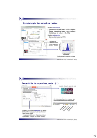 75 
7. Intégration de données vectorielles et raster 
Symbologie des couches raster 
Raster monobande  Valeur unique (une valeur = une couleur)  Classé (classes de valeur = une couleur)  Etiré (plage de valeurs = 0..255) 
Raster multibandes  Composition colorée RVB 
pixels entrée 
pixels sortie 
Affectation des 
bandes aux canaux 
Couleur arrière-plan 
et valeurs absentes 
Amélioration de la dynamique de l’image 
Initiation SIG avec ArcGIS, H.Bohbot (CNRS) - page 149 
7. Intégration de données vectorielles et raster 
Propr iétés des couches raster ( 1 ) 
Info-bulle affiche la valeur du pixel 
Initiation SIG avec ArcGIS, H.Bohbot (CNRS) - page 150 
Echelle d’affichage > résolution du raster : 
rééchantillonnage pour éviter pixellisation  plus proche voisin  interpolation bilinéaire (4 pixels voisins)  convolution cubique (16 pixels voisins) 
Clic droit sur une barre de menu pour faire 
apparaître la barre d'outils Effets visuels : 
 
