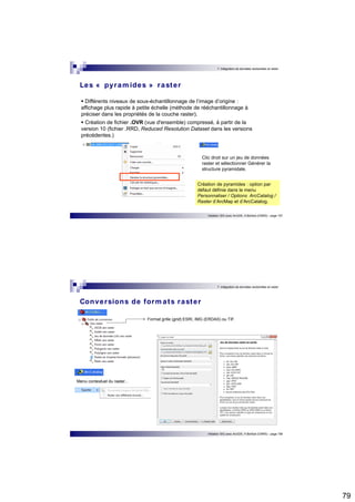 79 
7. Intégration de données vectorielles et raster 
Les « pyramides » raster 
 Différents niveaux de sous-échantillonnage de l’image d’origine : 
affichage plus rapide à petite échelle (méthode de rééchantillonnage à 
préciser dans les propriétés de la couche raster). 
 Création de fichier .OVR (vue d'ensemble) compressé, à partir de la 
version 10 (fichier .RRD, Reduced Resolution Dataset dans les versions 
précédentes.) 
Clic droit sur un jeu de données 
raster et sélectionner Générer la 
structure pyramidale. 
Création de pyramides : option par 
défaut définie dans le menu 
Personnaliser / Options ArcCatalog / 
Raster d’ArcMap et d’ArcCatalog. 
Initiation SIG avec ArcGIS, H.Bohbot (CNRS) - page 157 
7. Intégration de données vectorielles et raster 
Initiation SIG avec ArcGIS, H.Bohbot (CNRS) - page 158 
Conversions de formats raster 
Menu contextuel du raster... 
Format grille (grid) ESRI, IMG (ERDAS) ou TIF. 
 