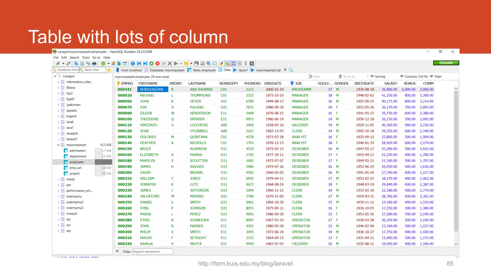 http://fstm.kuis.edu.my/blog/laravel 85
Table with lots of column
 