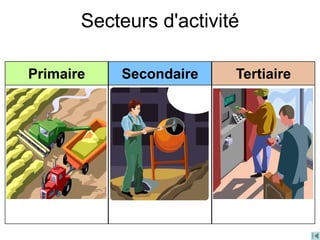 Secteurs d'activité
Primaire Secondaire Tertiaire
 