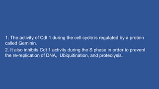 1. The activity of Cdt 1 during the cell cycle is regulated by a protein
called Geminin.
2. It also inhibits Cdt 1 activity during the S phase in order to prevent
the re-replication of DNA, Ubiquitination, and proteolysis.
 